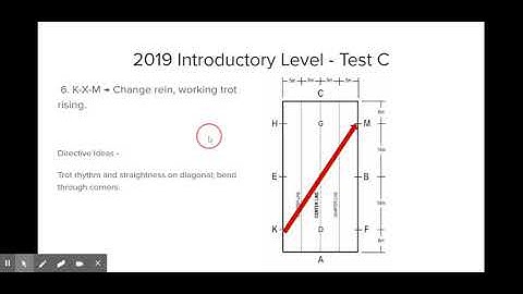 2019 USDF Introductory Test C