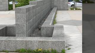영종도 운서역 주변(2020 05 23)