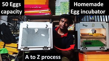 Wiring and setting for 50 eggs incubator #m452 #w1209 #abiram_agroTech