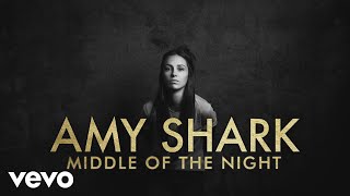 Video thumbnail of "Amy Shark - Middle of the Night (Lyric Video)"