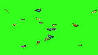 Hiệu Ứng Nền Xanh Bướm Bay