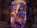 🌿mai om ka jap karu shankar 🙏🏻☘️🔱🌼