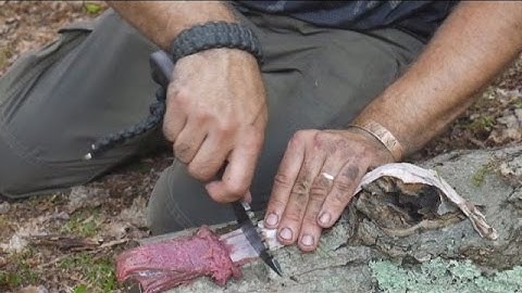 Prepping Deer Sinew For Primitive Bow Making