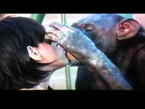 Joey chimps