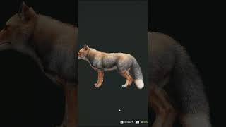 Diamond Fox in the NEW Feeder Pack DLC!🦊💎 #callofthewildgameplay #hunter #gaming