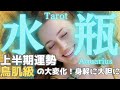 【水瓶座】2025年上半期の運勢⭐️鳥肌級の大変化🌈大胆にチャレンジして生まれ変わる🎉タロット占い