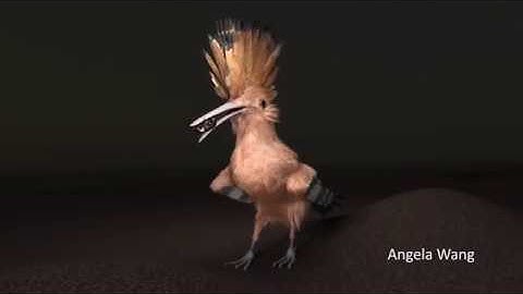 Shader Things Directed Study