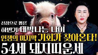 2024년 하반기 1971년생 54세 돼지띠운세눈물 닦고 일어나자! 인생을 바꿀 기회가 찾아와 대박나는 71…