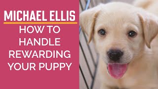 Michael Ellis on How to Handle Rewarding Your Puppy