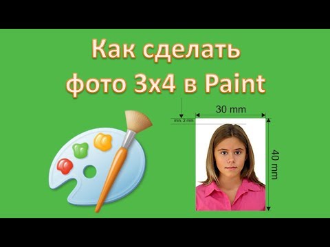 Как сделать фото 3х4 в Paint