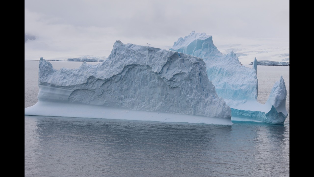 退休老人歐洲、南美、南極之旅 33 南極第三天 Antarctic Peninsula - Princess Cruise Sapphire