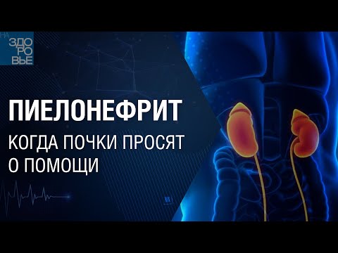 Пиелонефрит. Когда почки просят о помощи. На здоровье 22.10.2021