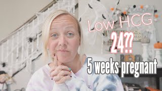 Low HCG Results at 5 Weeks Pregnant After 2 Miscarriages!