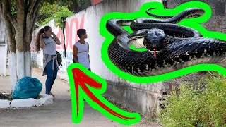 Pegadinha Da Cobra  Assustando Pessoas  Snake Prank