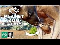 ▶ Planet Zoo Australia Pack & Free Update 1.3 | Overview | Review | DLC |