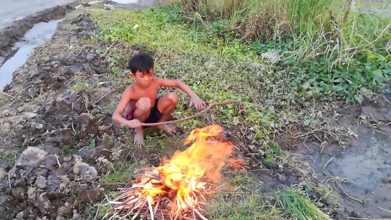 Amazing a Cildren Baked Egg  | Stupid Fishing, Crazy Angler | By Bros Da