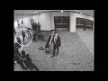Surveillance video shows gunman burst through security at White House dinner