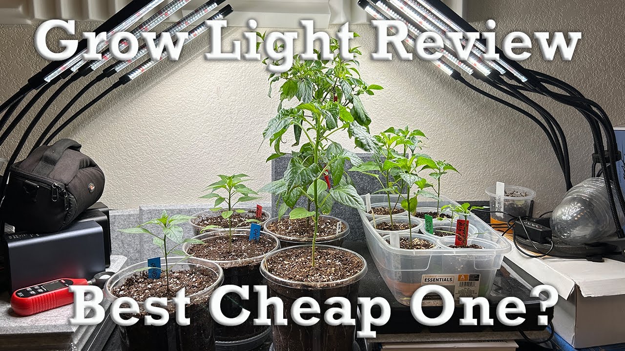 Фитосветильники за 20 долларов на Amazon? | Фитосветильники GHodec для выращивания рассады