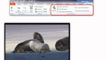 PowerPoint 2010 - Audio & Video Editing
