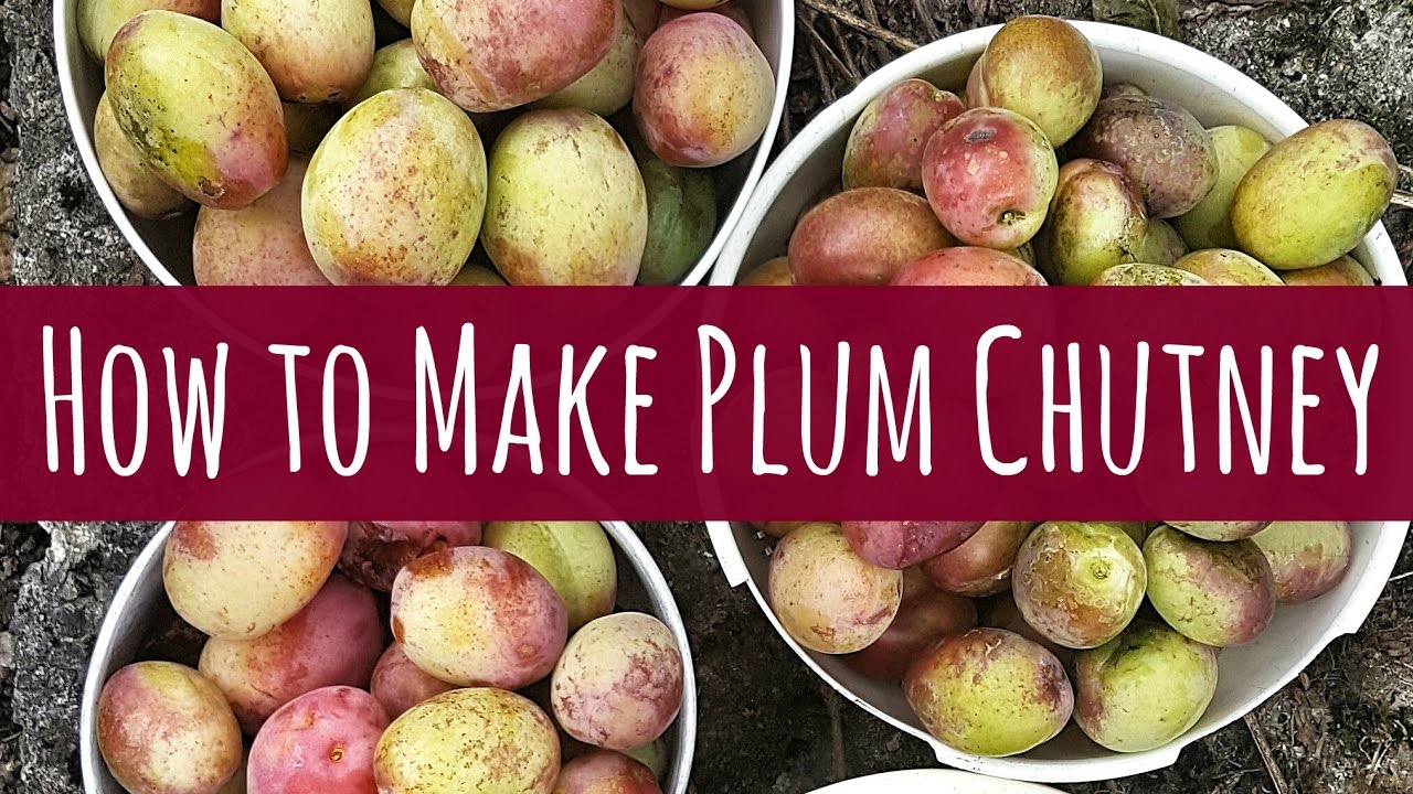HOW TO MAKE PLUM CHUTNEY