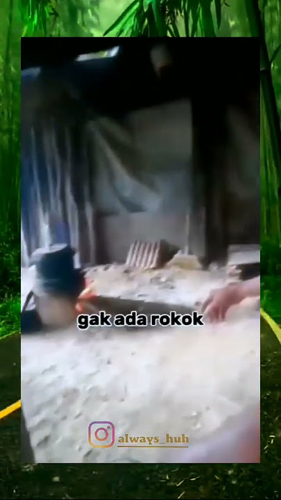 hidup bagaimana ini??