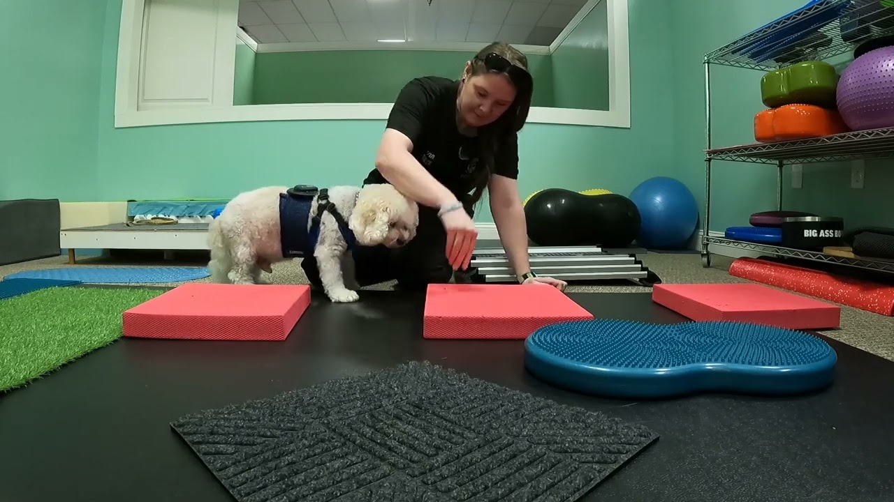 5-20-25 Henry Z. obstacle 2