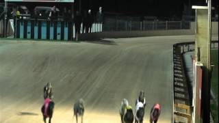 GOSFORD-02062015-RACE-4