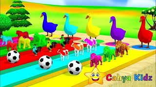 Cahya Kidz - Aprendizaje colorido para niños con patos gigantes y animales salvajes de granja