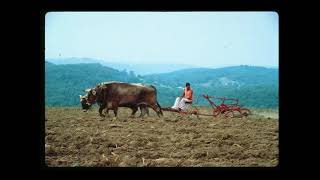 Yuga cycles, Cow protection, Ancient warriors part 4 (Vedic Perspective Radio) @RALPHLAURINO