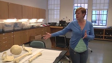 NC State Osteology Lab Tour