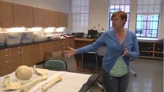 NC State Osteology Lab Tour