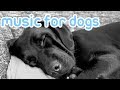 Soothing Music to Relax Your Dog! Calm Your Dog and Combat Anxiety!