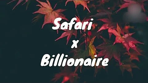 Sarena x Otilia - Safari x Billionaire | Lyrics video