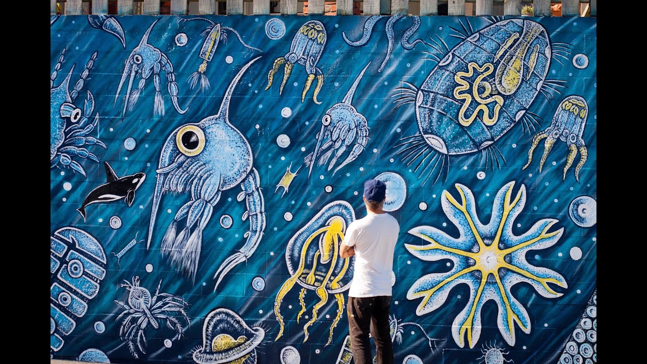 Graffiti Versus Street Art - A talk by Dunedin artist, Bruce Mahalski, at Otago Museum 14,/9/2022.