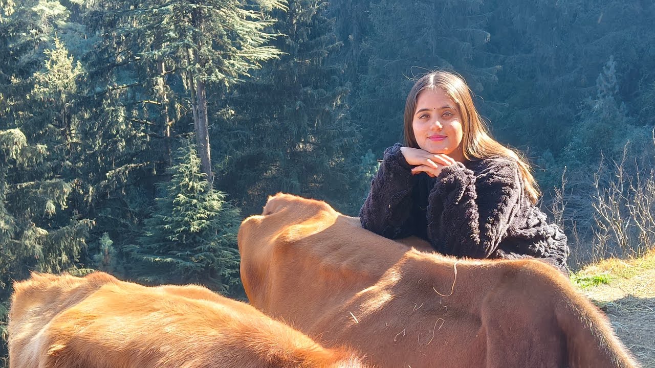 Pahado ki hawa, dil ka sukoon 🍃✨❤️ Vlog 9