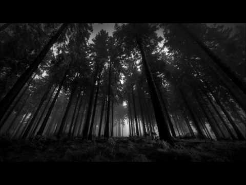 Nicolas Jaar -