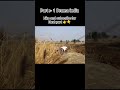 Ek Galti Aur Puri Kahani Badal Gayi | Horror + Emotional Drama