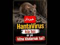 Hantavirus Kya Hai? Yeh Kitna Khatarnak Hai | Symptoms &amp; Prevention #hantavirus #virus #hanta