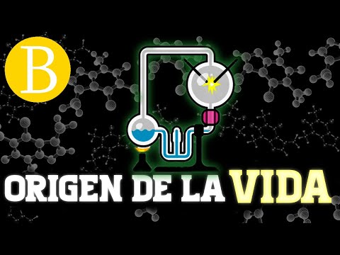 Video: ¿Por qué los experimentos de miller-urey son esenciales para la teoría de la evolución?