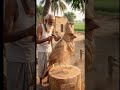 Master Artist at Work! 🙏 Life-size Bird Carved from Wood .Real  Talent of Village Baba! 🪵 # #birds