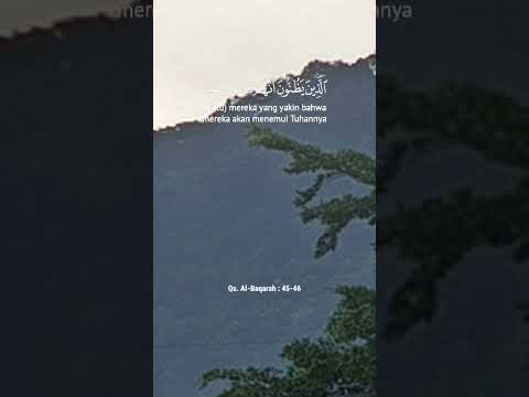 Https Vt Tiktok Com ZS5JQA3Ad