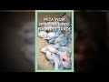 PETA India Rescues Thousands of Wild Birds From the Pet Trade #shorts