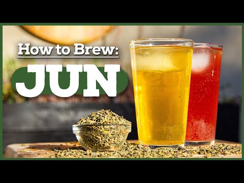 Vidéo: Branche De Basic 'Bucha Avec Wild Tonic Jun Kombucha