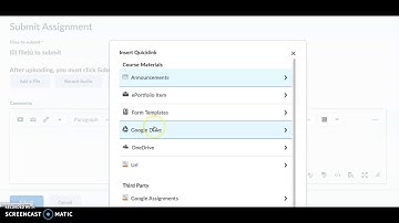 Adding a photo to an assignment in Brightspace using your computer