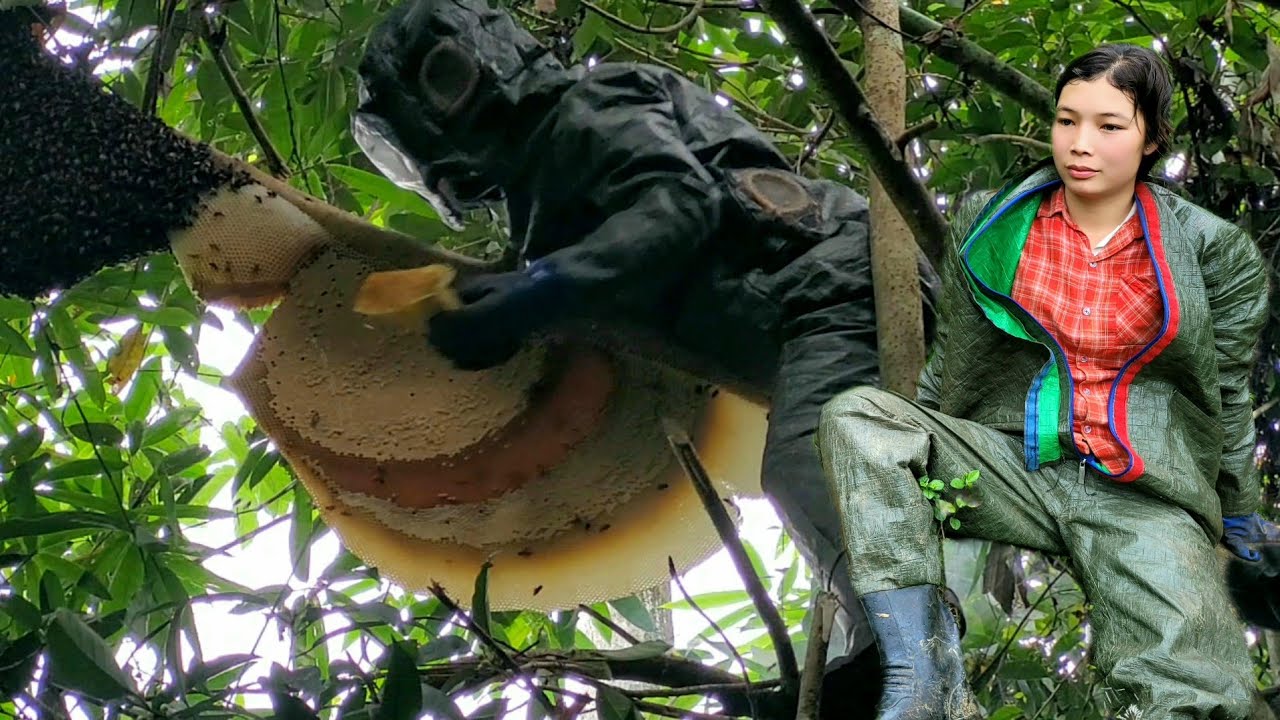 Linh went into the forest to look for bamboo shoots and stumbled upon a ...