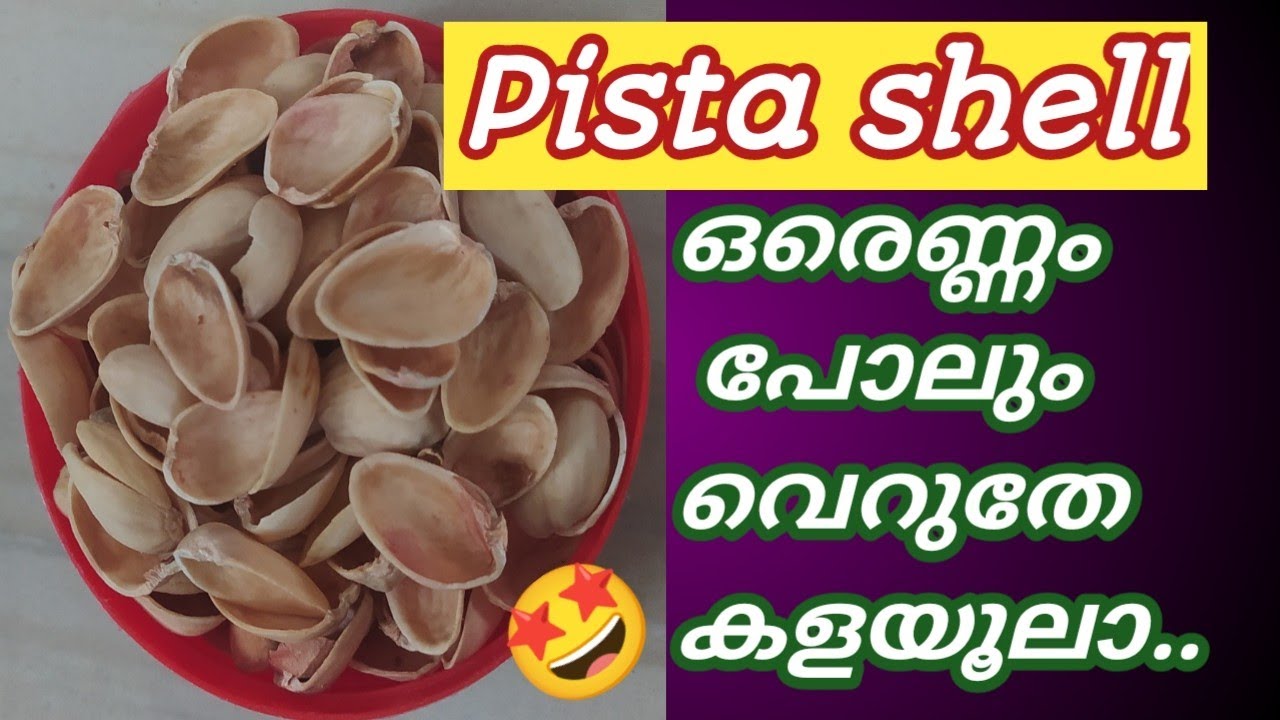 Pista shell കളയാൻ തോന്വോ ഇതൊക്കെ കണ്ടാൽ 😱| reuse ideas | crafts ...