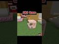 Mini house in minecrft #minecraft