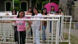 Bullpsy =PLM- CHD- BS Psych= Goodbye = Class of 2007