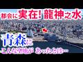 ⚠️⚠️青森市に実在!!【強力な都会の聖地が】こんな場所に存在するとは…【善知鳥神社】