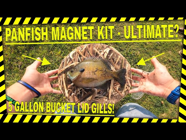 The ONLY Jig Kit You NEED To Catch Tons of Panfish! 